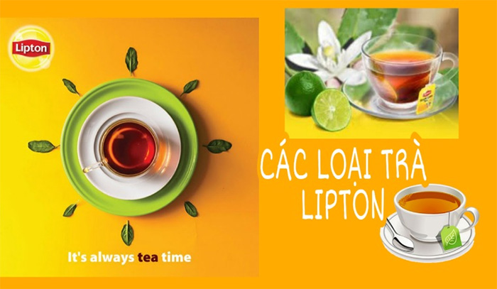 Các Loại Trà Lipton Túi Lọc Phổ Biến