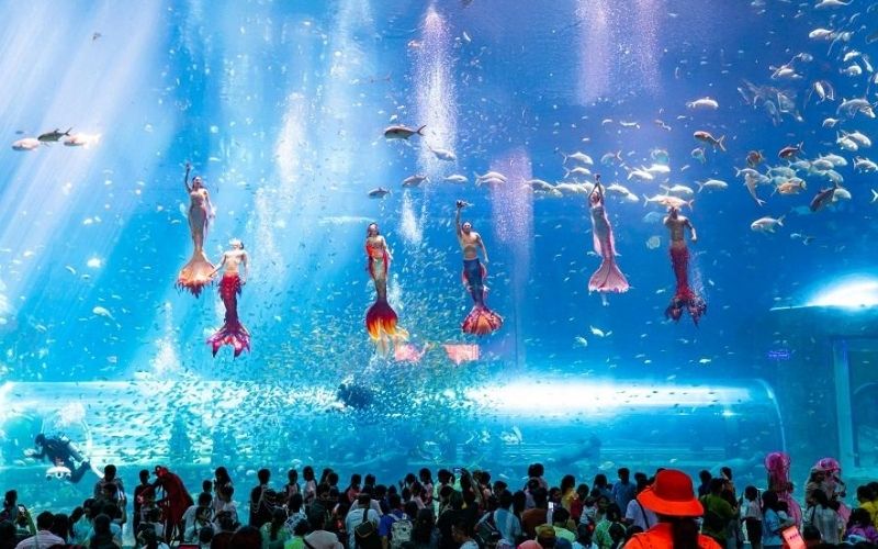 Show nàng tiên cá